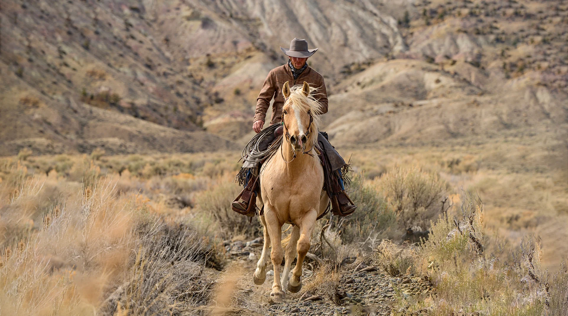 Western Cowboy Equipment Shop -Western Cowboy Equipment Shop Hero Image Tack